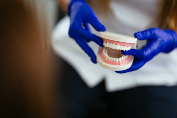 Best Preventive Dentistry  in Trinity, NC