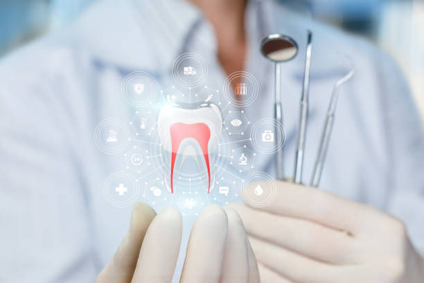 Best Traditional Braces  in Trinity, NC